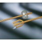 Bardia Foley Catheter (Silicone Elastomer Coated, 3-Way)